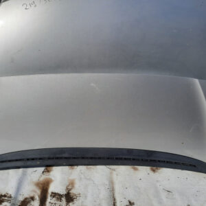 Capota motor Peugeot 1007 2006 Sport (argintiu)