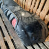 Bara spate completa Peugeot 308 CC (negru)