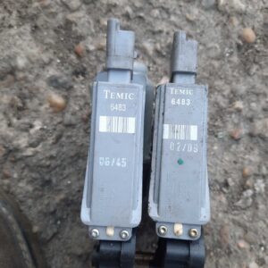 Modul motoras geam Temic 6483 stanga fata Peugeot 307