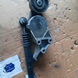 Intinzator cu amortizor  VW Golf 4, Skoda Octavia, Audi A3cod  04343010002