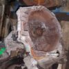 Cutie de viteze manuala 5 trepte FIAT Grande Punto 1.3 JTD cod 55206108