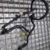 Rampa retur injectoare 1.5 Bluehdi YH01 YHY Peugeot Citroen cod 9824723180