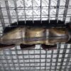 Set galerii evacuare Audi A6 2010 3.0 TDI cod 059253034L 059253033L