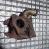 Colector galerie evacuare cu conducta EGR 2.7 3.0 tdi CDYA Audi A6 cod 059131799R