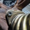 Colector galerie evacuare cu conducta EGR 2.7 3.0 tdi CDYA Audi A6 cod 059131799R