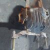 Diferenţial spate Honda S2000 2.0 AP1 cod 41200PCZ0030 177kw an 2002