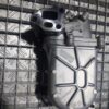 Racitor gaze Alfa Romeo Fiat Lancia 1.3 JTD euro 5 cod 55230929