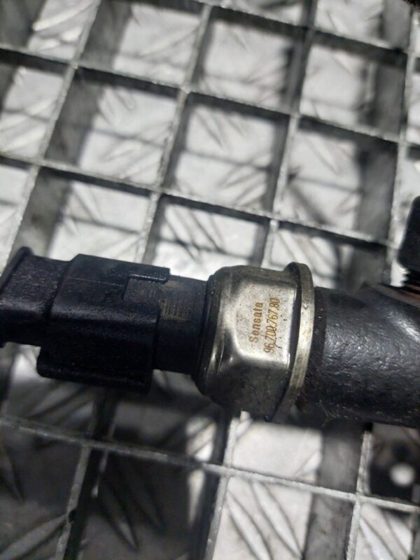20250128_193320-rotated-1.jpg Rampa injectoare Ford Peugeot Citroen 1.6 HDi cod 9685297580