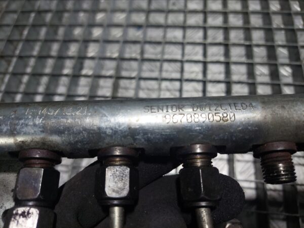 Rampa injectoare cu senzor Peugeot 508  Range Rover 2.2 HDI cod 9670890580