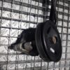 Pompa servodirectie Kia 1.5 Diesel cod 57100-1d500