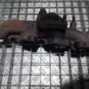 Galerie evacuare Audi A4 A5 A6 Q5 2.0 tdi cod 03L253033