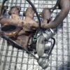 Turbina Ford Transit Puma 2.2 TDCI AN 2009 86CP cod 49131-05313