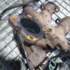Turbina Ford Transit Puma 2.2 TDCI AN 2009 86CP cod 49131-05313
