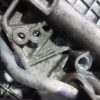 Racitor gaze cu egr Fiat Bravo 1.6 Motorina cod 0428692