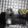 Compresor AC Jaguar Land Rover cod 9X23-19D629-DA
