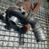 Turbosuflanta Fiat Doblo 1.6 TD MT 105 hp cod 55225012