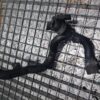 Furtun apa Mercedes A-Class (2004-2012) [W169] 2.0 cod a6402001452