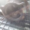 Turbocompresor turbina 2.8 V6 Opel Saab cod 55569051