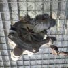 Pompa Aer Saab Opel 2.8 V6 cod 55560133