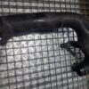 Tubulatura intercooler Seat Volkswagen Audi cod 1K0129654K