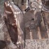 Cutie viteze manuala 5 Trepte Opel Corsa D 1.2 Benzina cod motor A12XER cod 55565177
