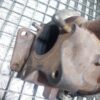 20250725_183119-rotated-1.jpg Turbina MAZDA 6 2.2 D Euro 4 cod motor RF7J cod : VJ36