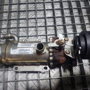 Racitor gaze Renault Laguna 2.0 DCI M9R761 cod : 8200611709