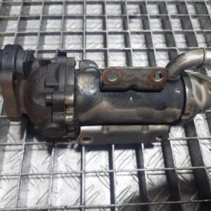 Racitor gaze RENAULT Laguna 3 coupe M9R742 2.0 DCI cod : 8200611709