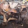 20251013_163020.jpg Motor complet fara anexe Fiat Doblo 1.6 JTD 2010-215 cod 263A4000