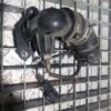 Cot admisie EGR Renault Scenic 3 1.5 dCi cod motor K9K 636 cod 147138491R