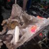 20251221_170653.jpg Cutie viteze manuala Dacia Logan II 0.9 TCe cod motor H4B cod JH3334
