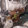 Motor fara anexe Fiat Doblo Cargo (263) 1.6m-jet cod motor 198A3000