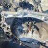 Cutie viteze manuala 5 trepte Ford Focus 2 1.6 TDCi 16V 110 motorizare G8DD cod 9M5R-7002-YA